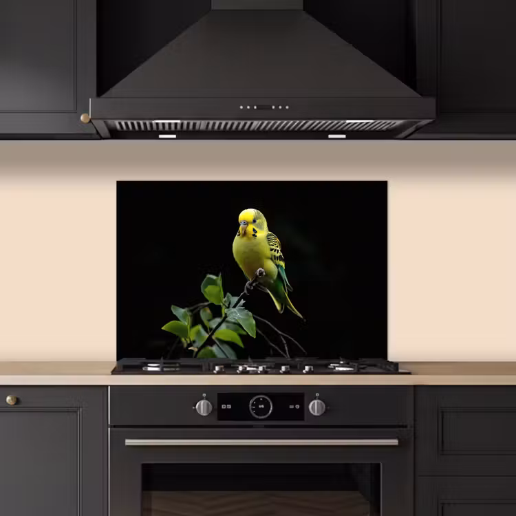 Paraschizzi cucina - Cocorita - Ramo - Foglie - Giallo — 5