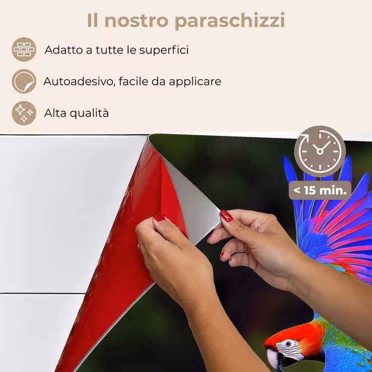 Paraschizzi cucina - Colori vivaci - Pappagallo - Foresta - Ali — 4