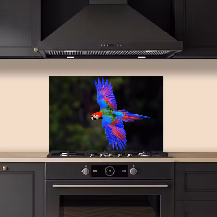 Paraschizzi cucina - Colori vivaci - Pappagallo - Foresta - Ali — 5