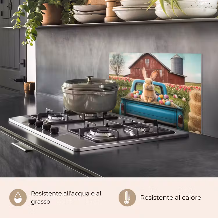 Paraschizzi cucina - Coniglio - Fattoria - Uova — 2