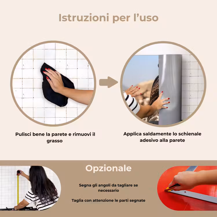 Paraschizzi cucina - Falco - Uccello - Roccia - Potenza — 6