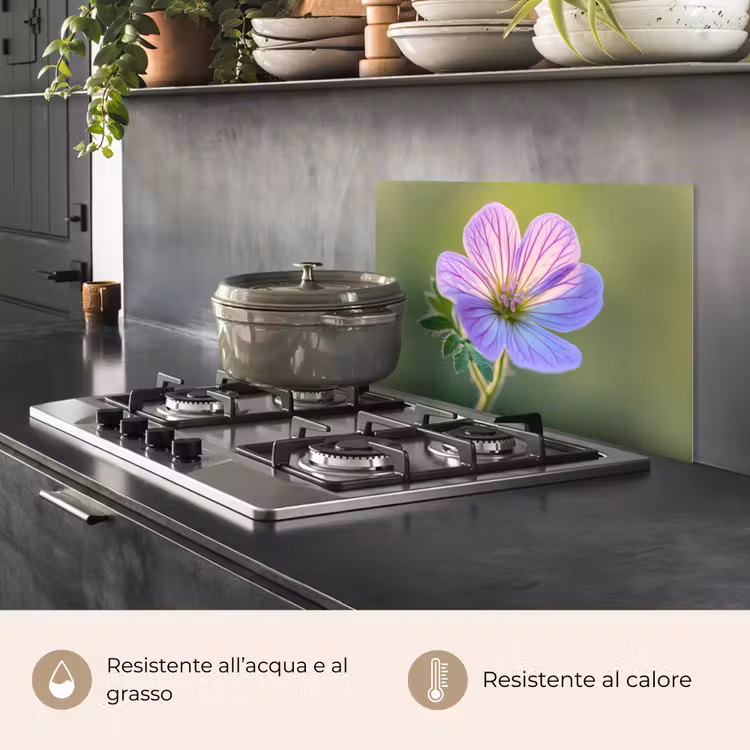 Paraschizzi cucina - Fiore - Primo piano - Viola — 2