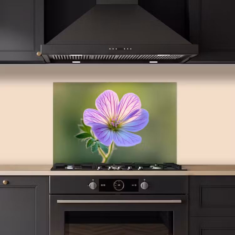 Paraschizzi cucina - Fiore - Primo piano - Viola — 5