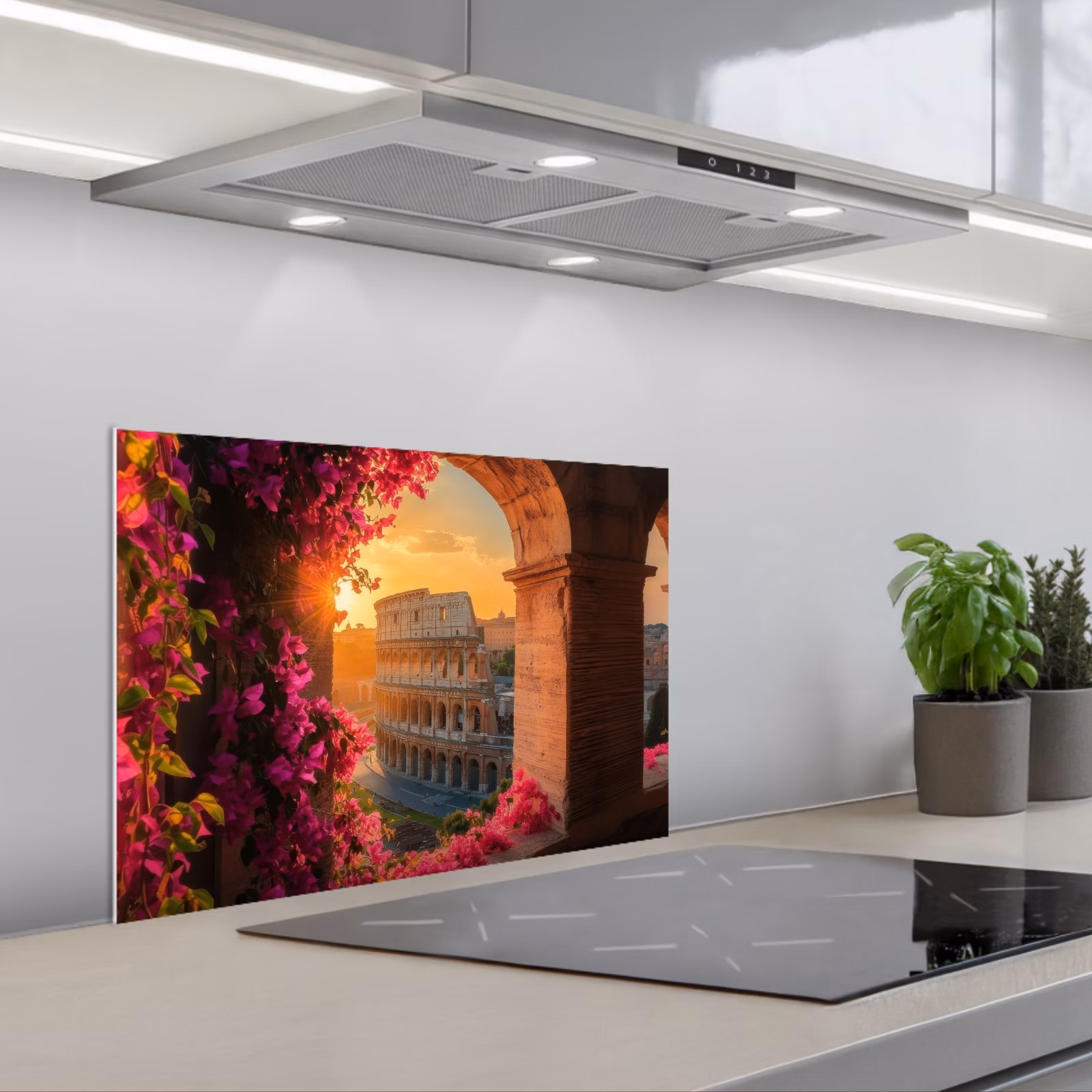 Paraschizzi cucina - Colosseo - Roma - Fiori rosa — 1