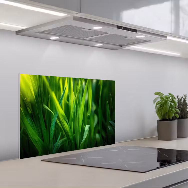 Paraschizzi cucina - Fili d'erba - Luce - Verde — 1