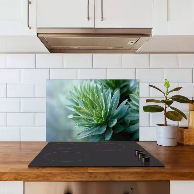 Paraschizzi cucina - Foglia - Pianta - Verde - Struttura — 3