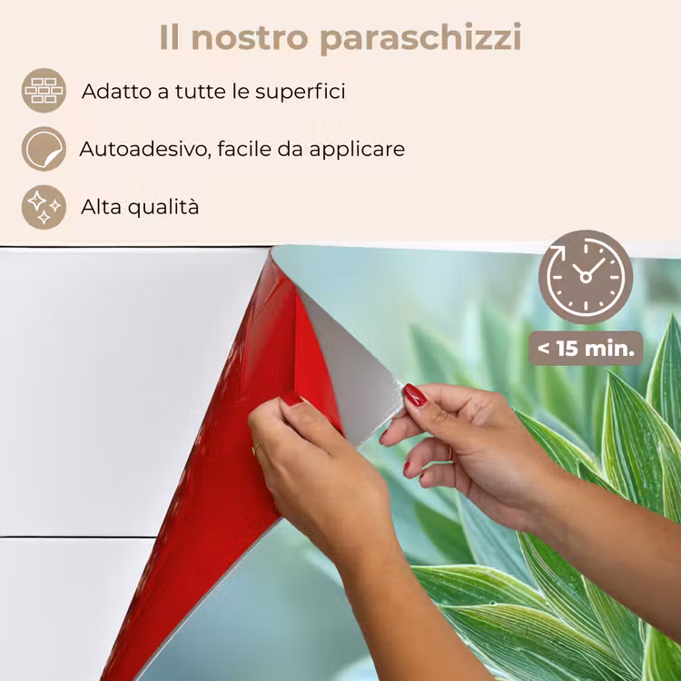 Paraschizzi cucina - Foglia - Pianta - Verde - Struttura — 4