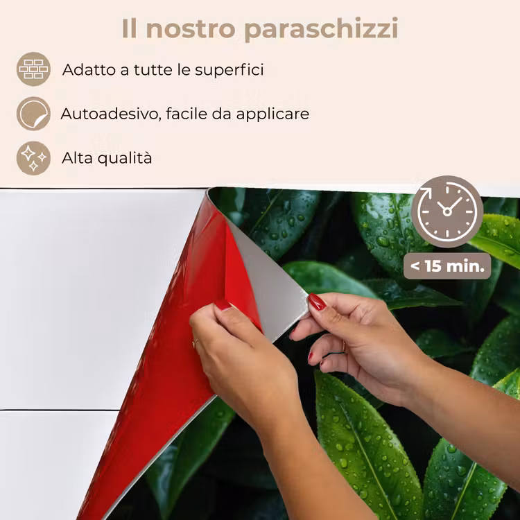 Paraschizzi cucina - Foglie - Gocce di pioggia - Luce - Verde — 4