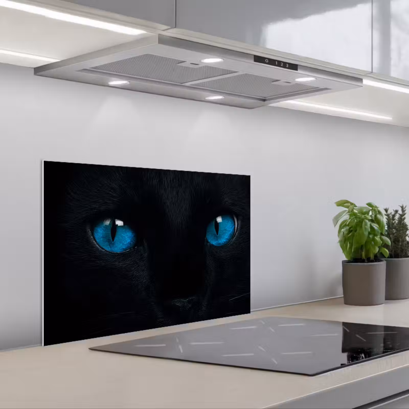 Paraschizzi cucina - Gatto - Blu - Animale - Nero — 1