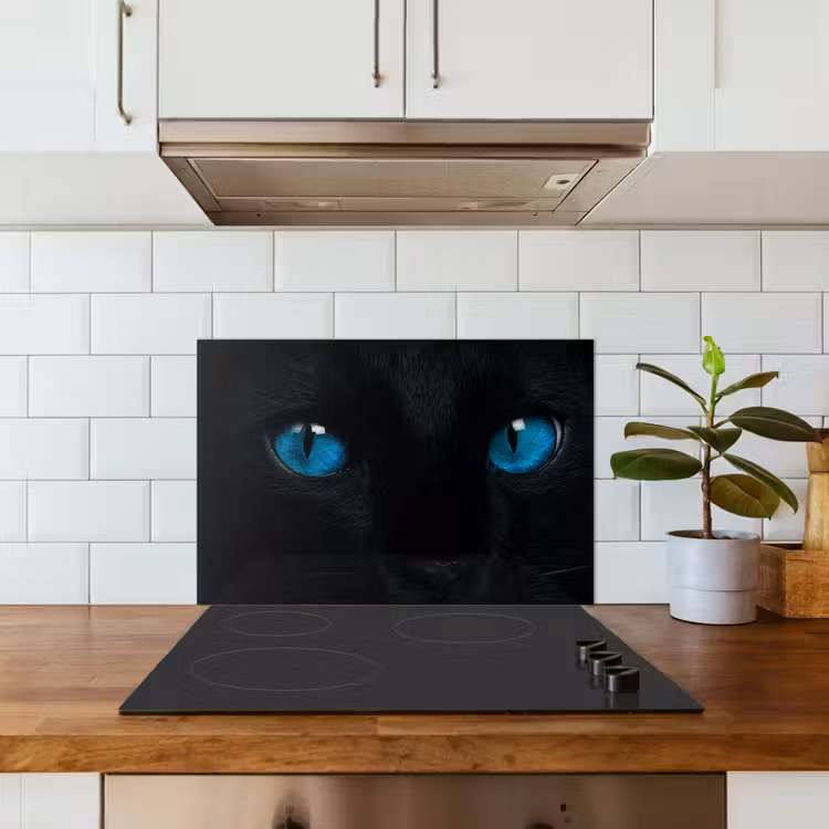 Paraschizzi cucina - Gatto - Blu - Animale - Nero — 3