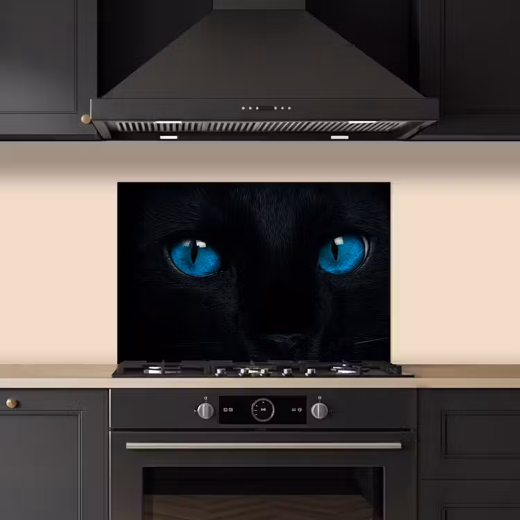 Paraschizzi cucina - Gatto - Blu - Animale - Nero — 5