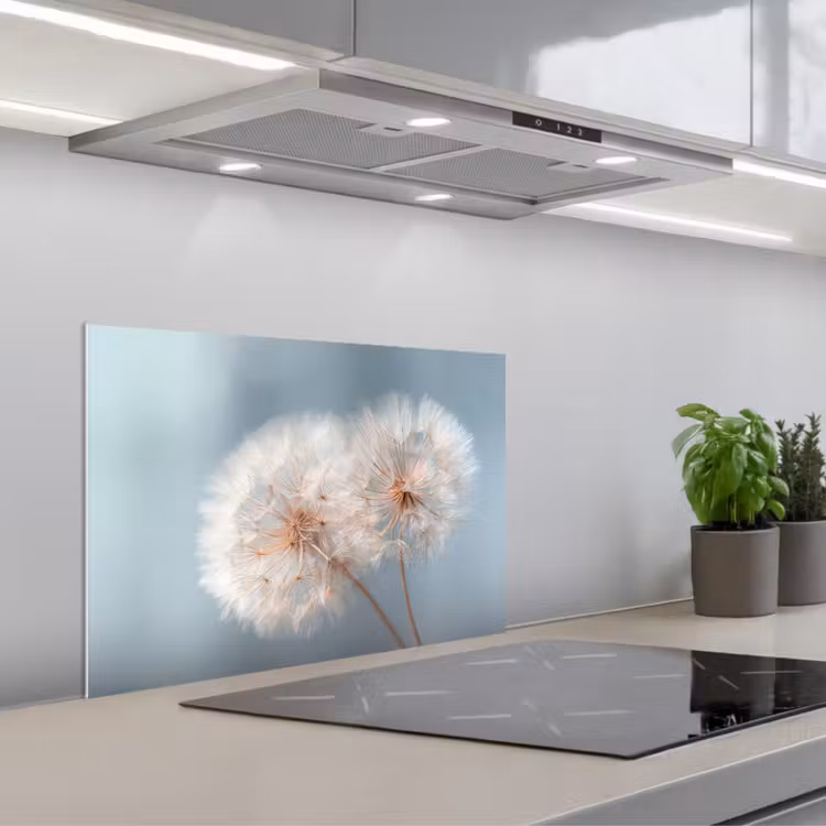 Paraschizzi cucina - Dente di leone - Soffice - Bianco — 1