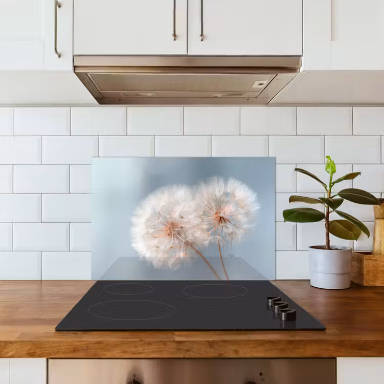 Paraschizzi cucina - Dente di leone - Soffice - Bianco — 3
