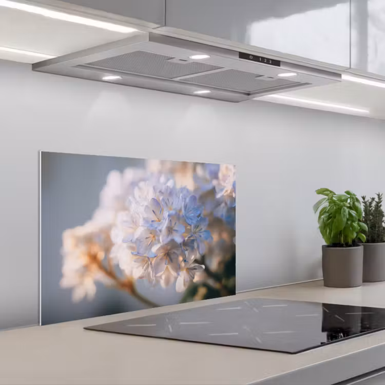 Paraschizzi cucina - Fiori - Azzurro - Sfumato - Grappoli — 1