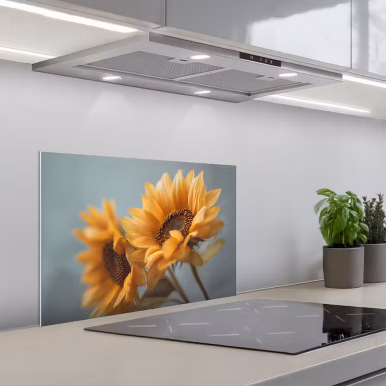 Paraschizzi cucina - Girasoli - Giallo - Sfumato — 1