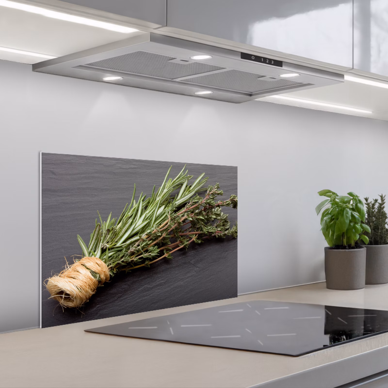 Paraschizzi cucina - Eleganza da gufo delle erbe — 1