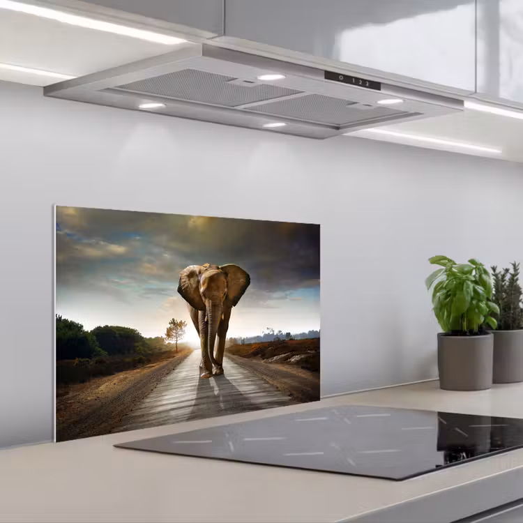 Paraschizzi cucina - Elefante - Strada - Animali - Tramonto - Paesaggio — 1
