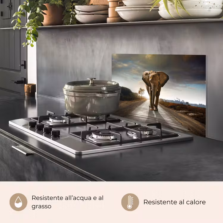 Paraschizzi cucina - Elefante - Strada - Animali - Tramonto - Paesaggio — 2
