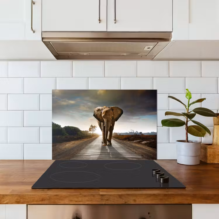 Paraschizzi cucina - Elefante - Strada - Animali - Tramonto - Paesaggio — 3