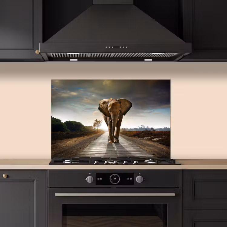 Paraschizzi cucina - Elefante - Strada - Animali - Tramonto - Paesaggio — 5