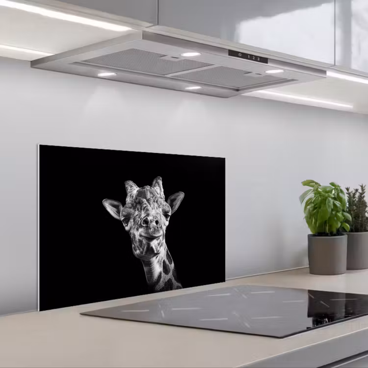 Paraschizzi cucina - Giraffa - Animale - Nero - Bianco — 1
