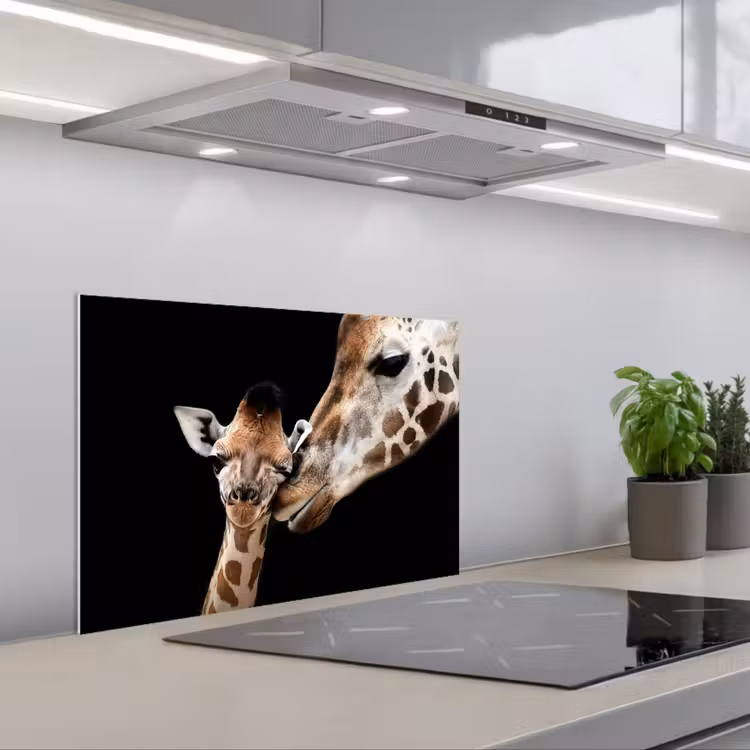 Paraschizzi cucina - Giraffa - Animali - Nero - Ritratto - Animali — 1