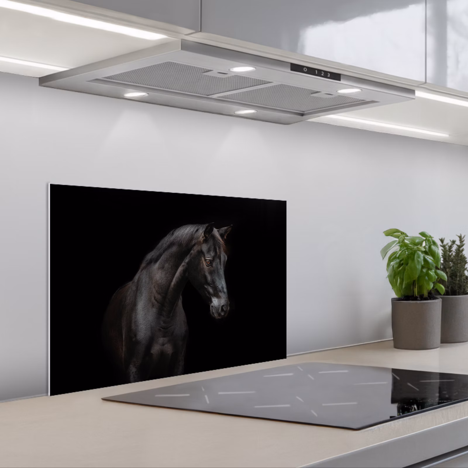Paraschizzi cucina - Cavallo - Animali - Nero - Ritratto — 1
