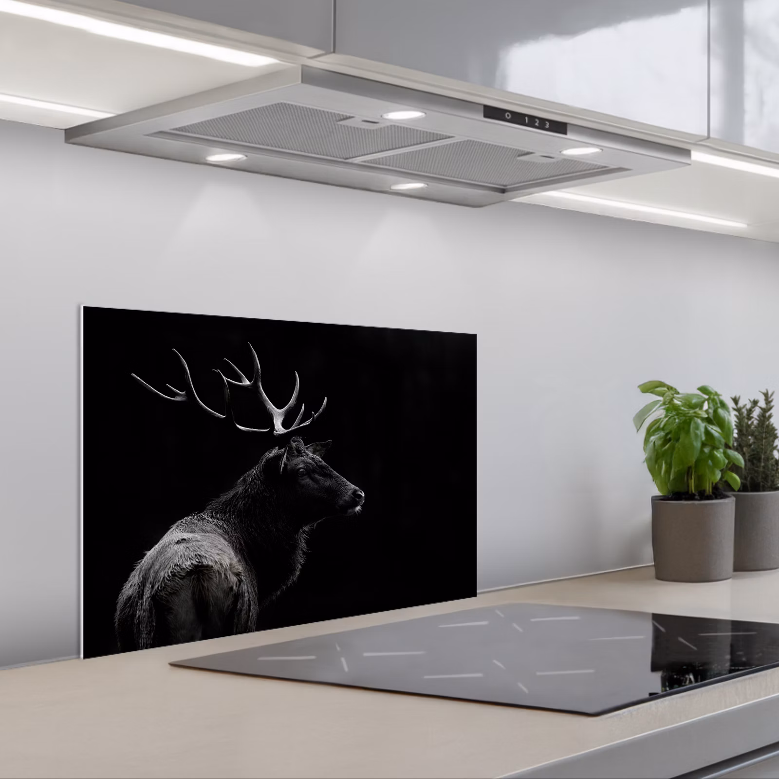 Paraschizzi cucina - Cervo - Nero - Ritratto - Corna - Animali — 1