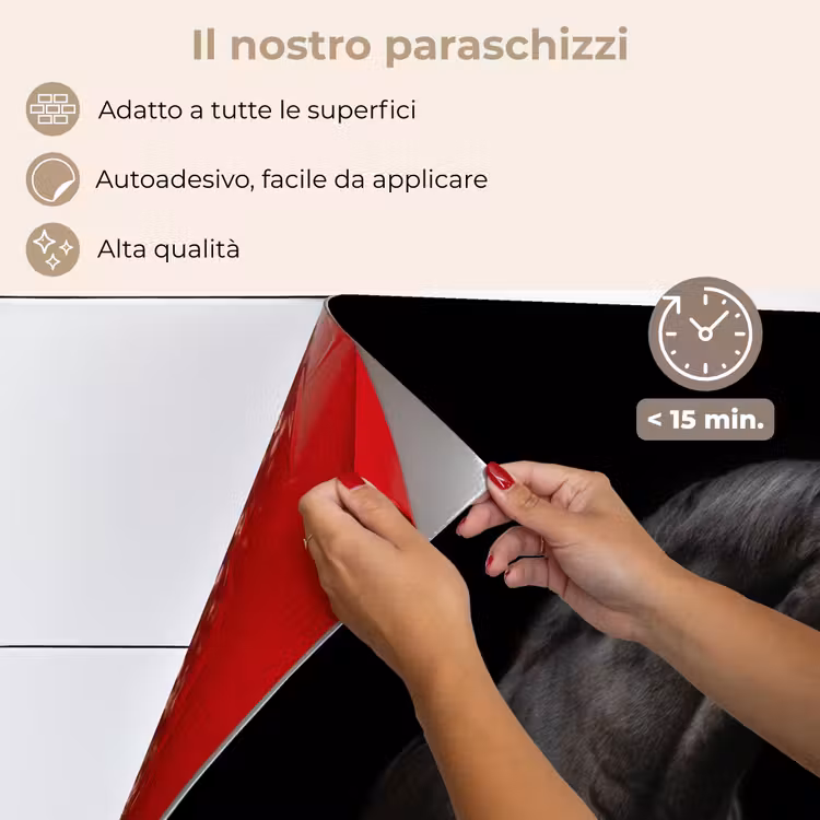 Paraschizzi cucina - Cavallo - Animali - Nero - Ritratto — 4