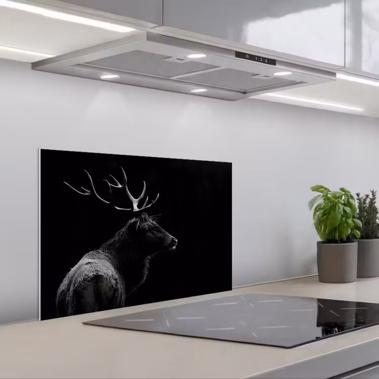 Paraschizzi cucina - Cervo - Nero - Ritratto - Corna - Animali — 1