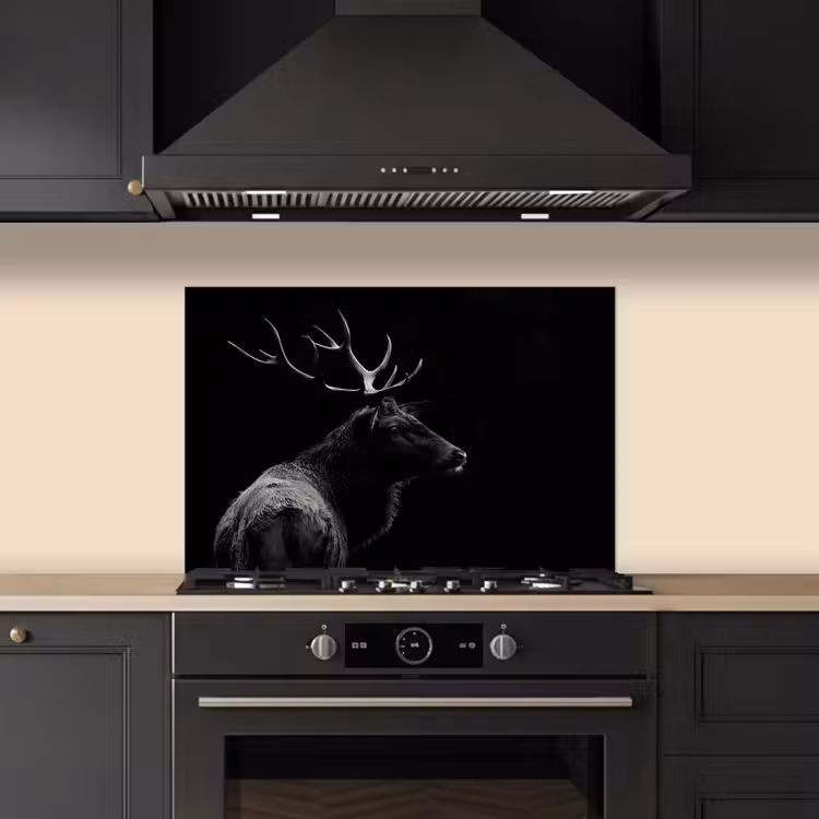 Paraschizzi cucina - Cervo - Nero - Ritratto - Corna - Animali — 5