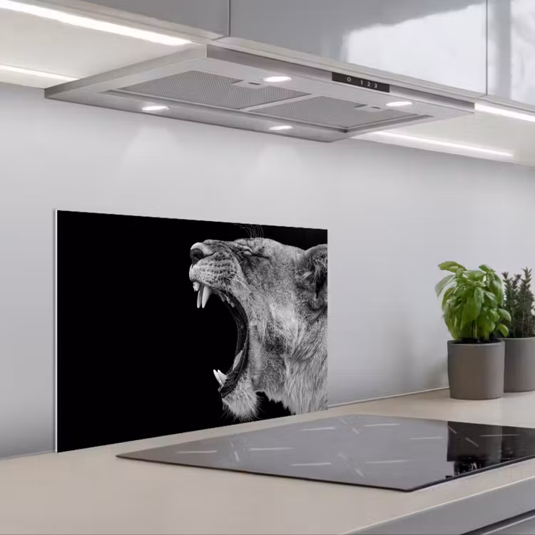 Paraschizzi cucina - Animali - Leone - Nero - Bianco - Ritratto — 1