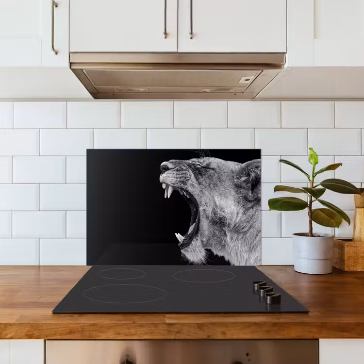 Paraschizzi cucina - Animali - Leone - Nero - Bianco - Ritratto — 3