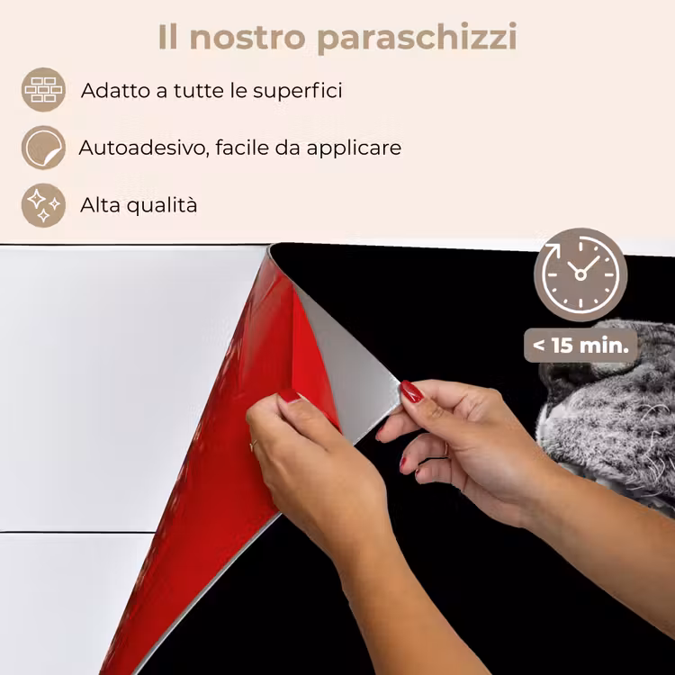 Paraschizzi cucina - Animali - Leone - Nero - Bianco - Ritratto — 4