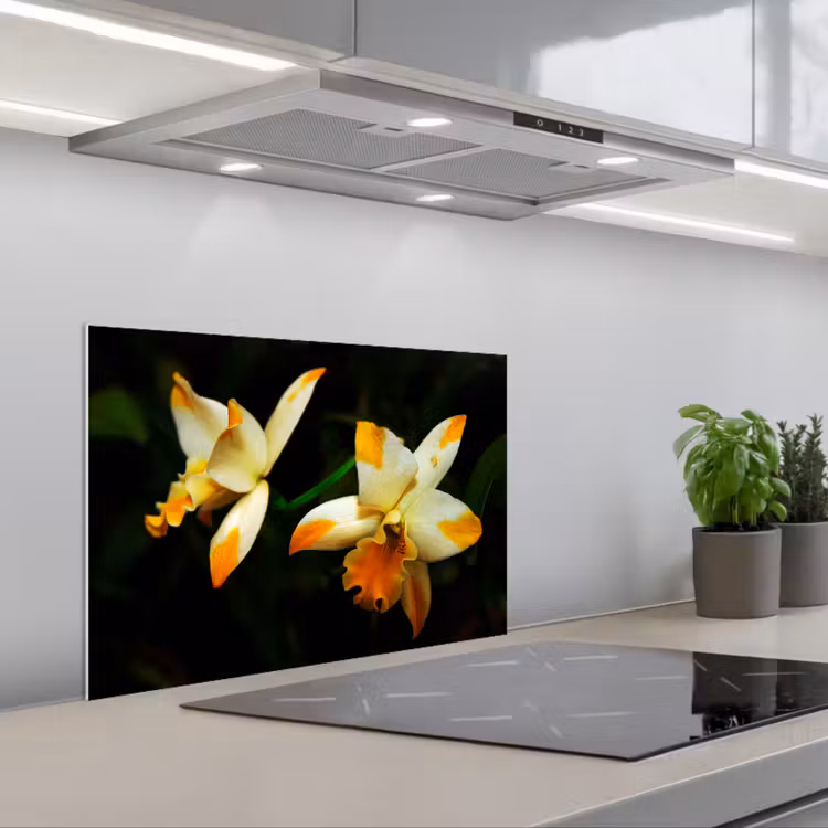 Paraschizzi cucina - Due fiori di orchidea — 1