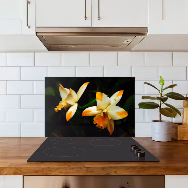 Paraschizzi cucina - Due fiori di orchidea — 3