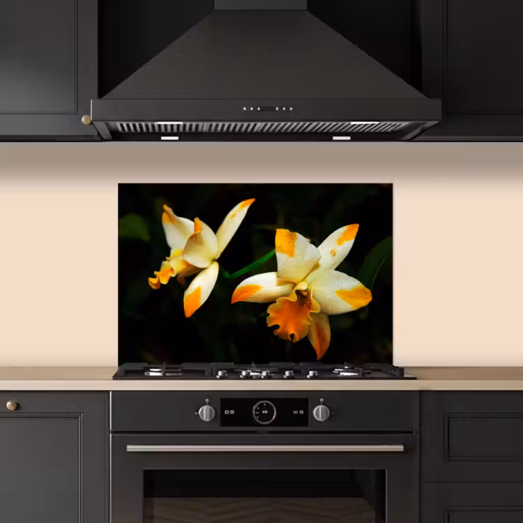 Paraschizzi cucina - Due fiori di orchidea — 5