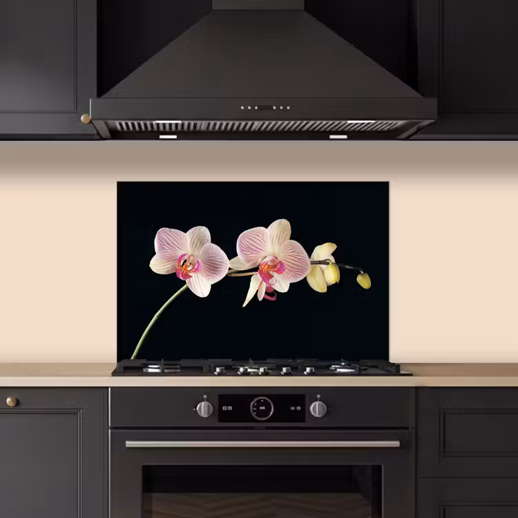 Paraschizzi cucina - Eleganza dell'orchidea a strisce — 5