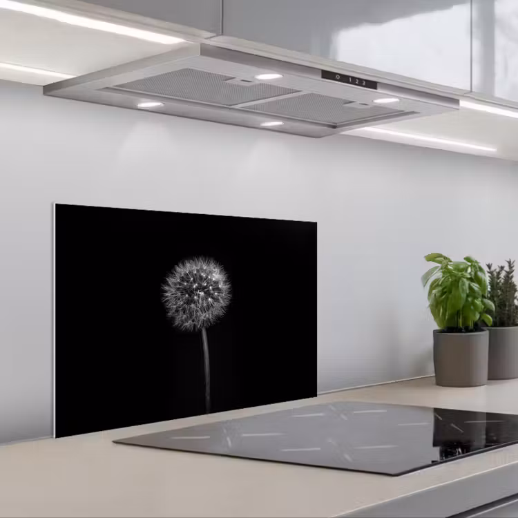 Paraschizzi cucina - Dente di leone - Nero - Floreale - Botanico — 1