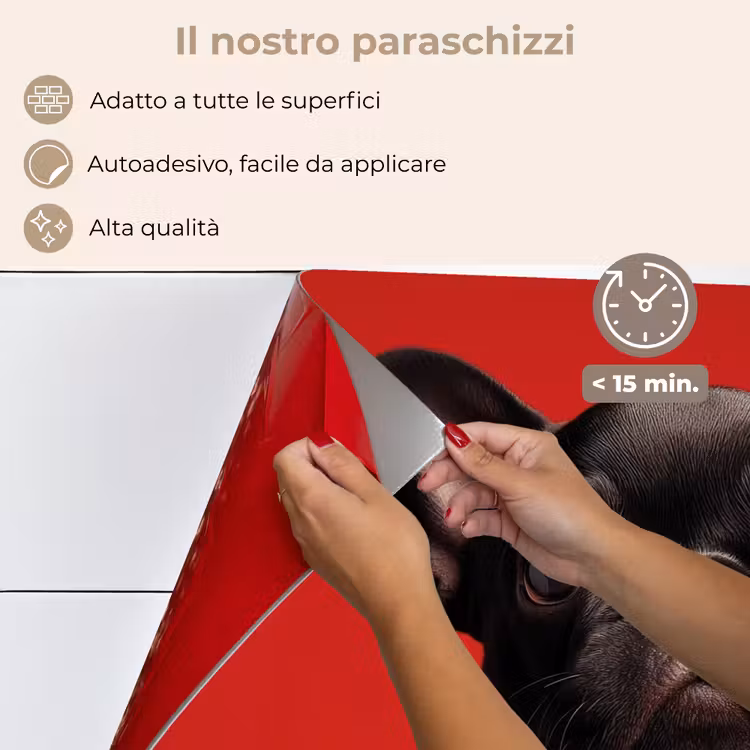 Paraschizzi cucina - Amor - Cane - Cuore - Rosso — 4