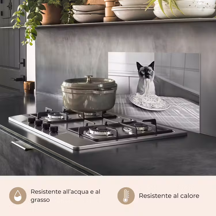 Paraschizzi cucina - Gatto - Siamese - Bianco e nero - Carino - Animali — 2