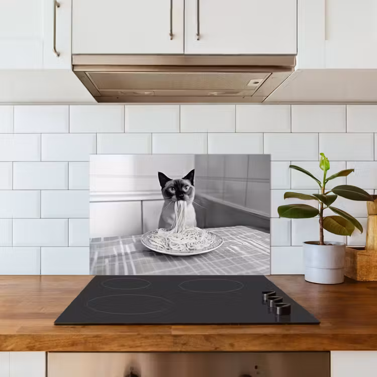 Paraschizzi cucina - Gatto - Siamese - Bianco e nero - Carino - Animali — 3