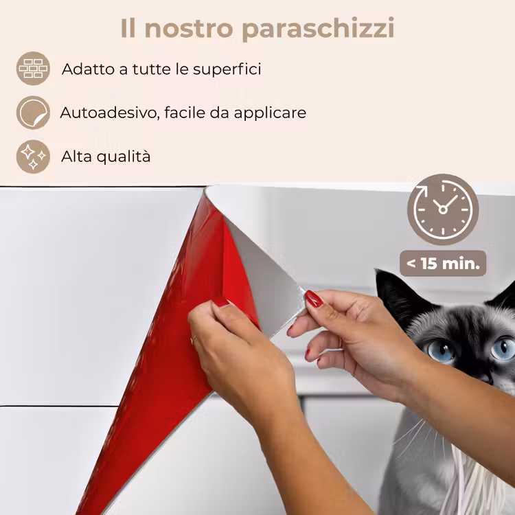 Paraschizzi cucina - Gatto - Siamese - Bianco e nero - Carino - Animali — 4
