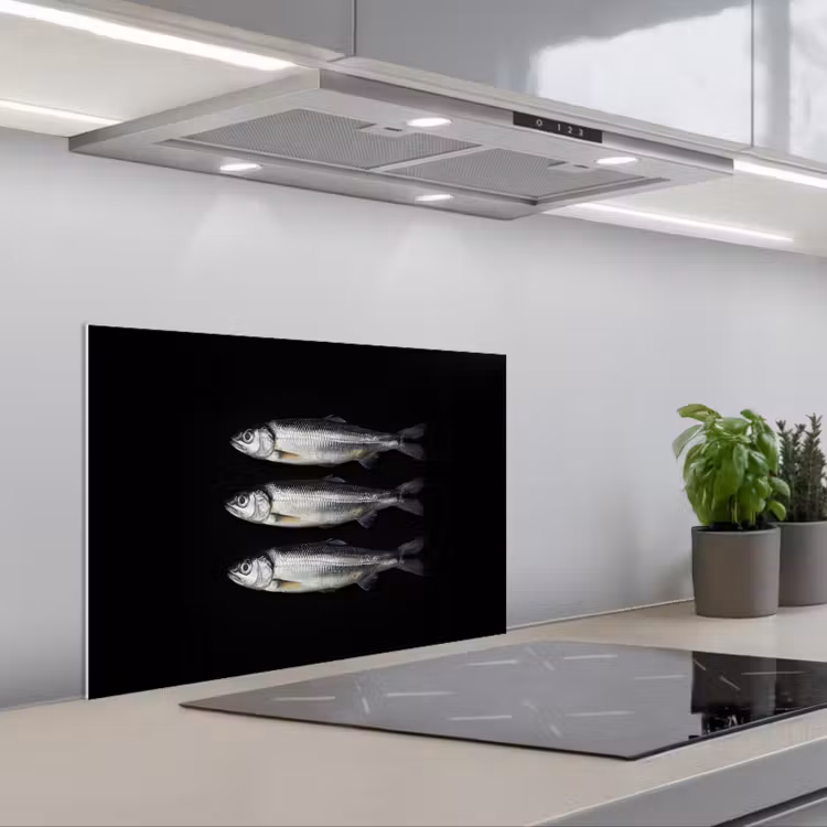 Paraschizzi cucina - Aringa - Pesce - Nero — 1