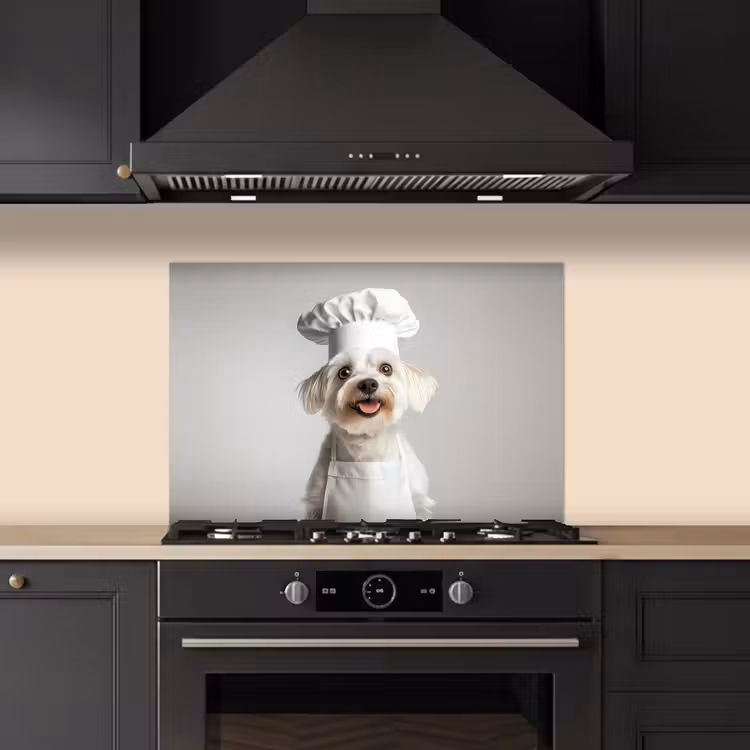 Paraschizzi cucina - Cane - Bianco - Cuoco — 5