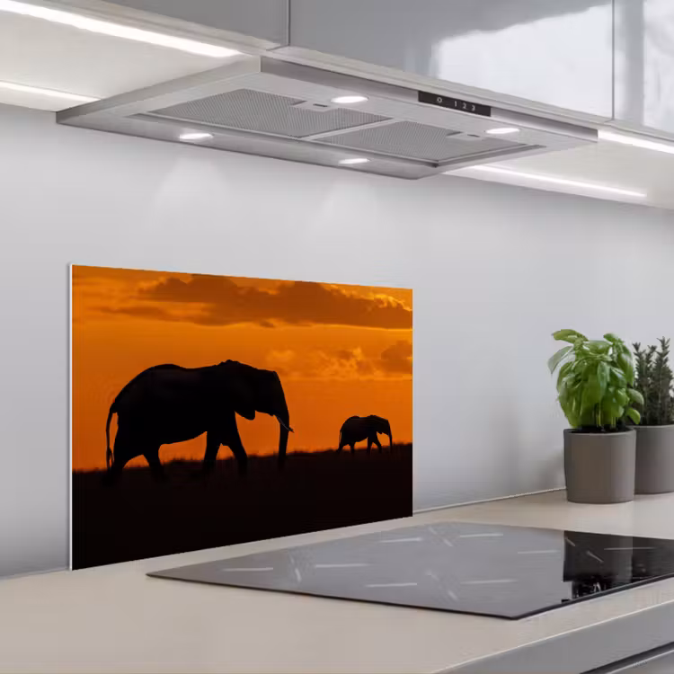 Paraschizzi cucina - Elefanti - Savana - Tramonto — 1