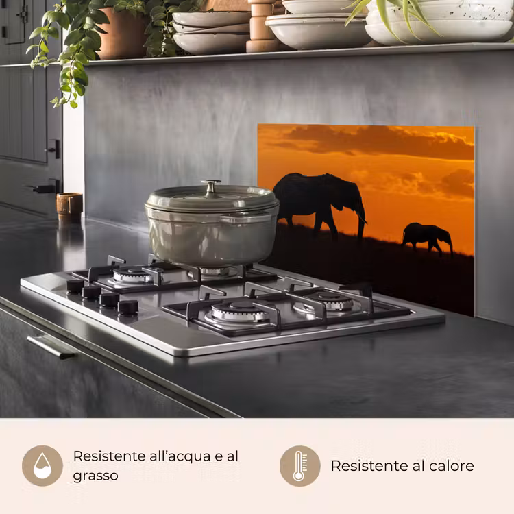 Paraschizzi cucina - Elefanti - Savana - Tramonto — 2