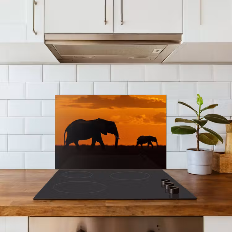 Paraschizzi cucina - Elefanti - Savana - Tramonto — 3