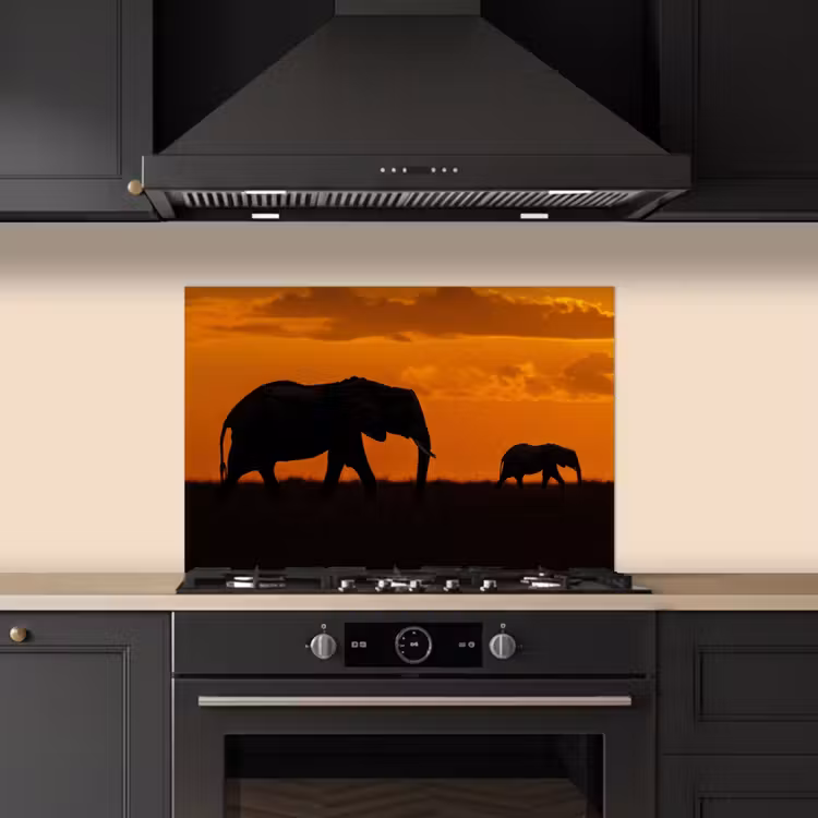 Paraschizzi cucina - Elefanti - Savana - Tramonto — 5