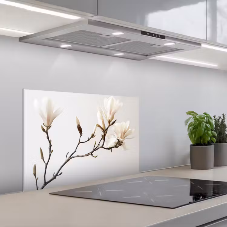 Paraschizzi cucina - Fiori - Bianco - Natura - Magnolia — 1